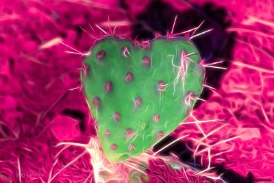 Spectral Heart Cactus, Fine Art Print