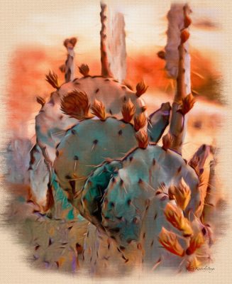 Turquoise Cactus, Fine Art Print